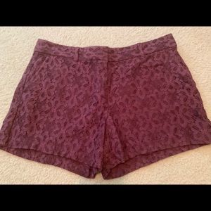 Loft shorts